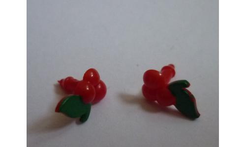 Susi Acessorios Par de Brincos Guarana